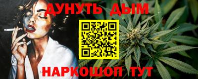 ешки Новодвинск