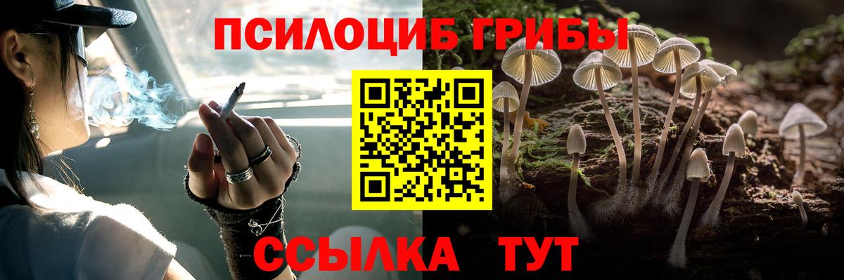 Псилоцибиновые грибы ЛСД Чистополь